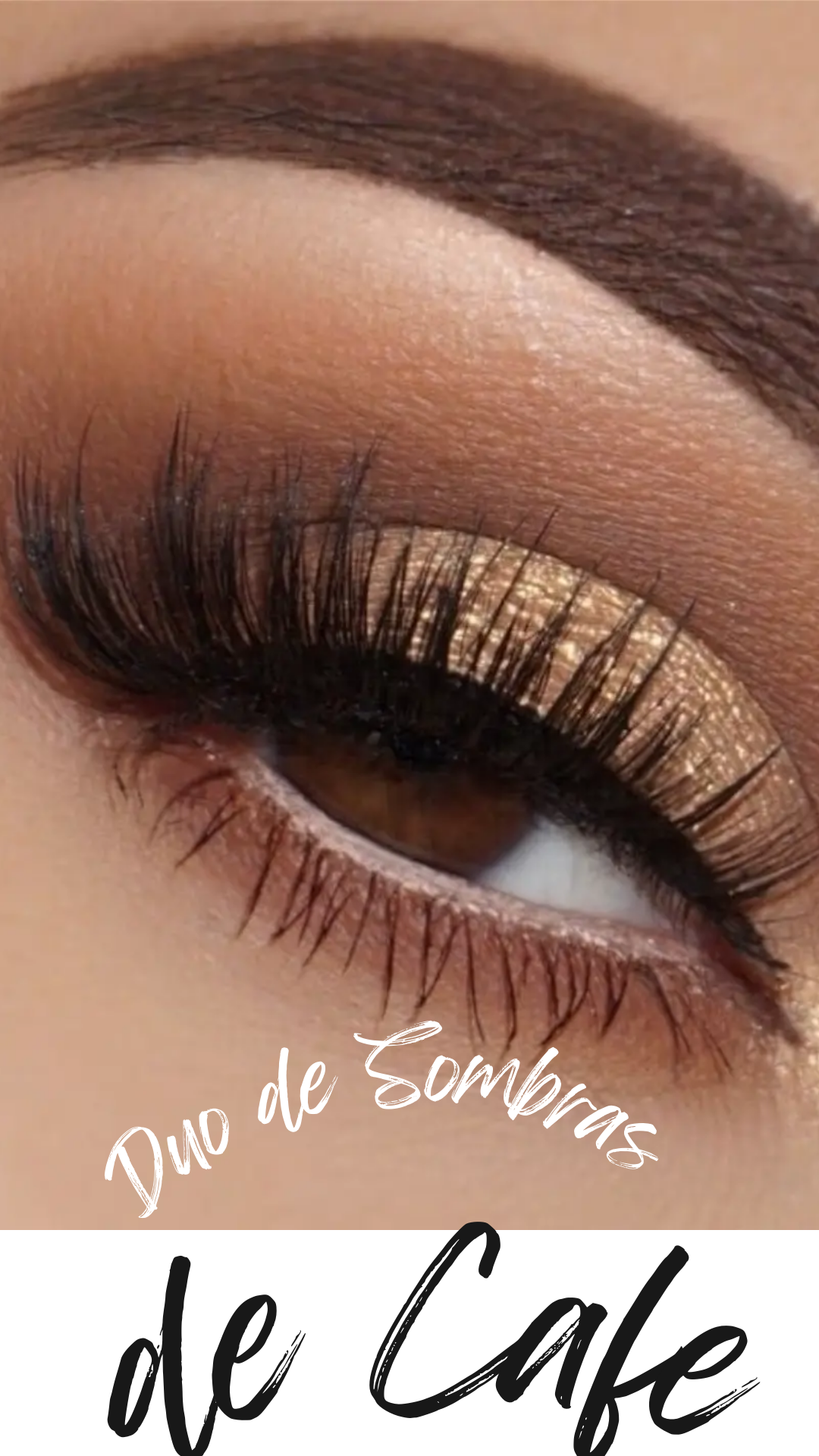 Duo de Sombras de Café